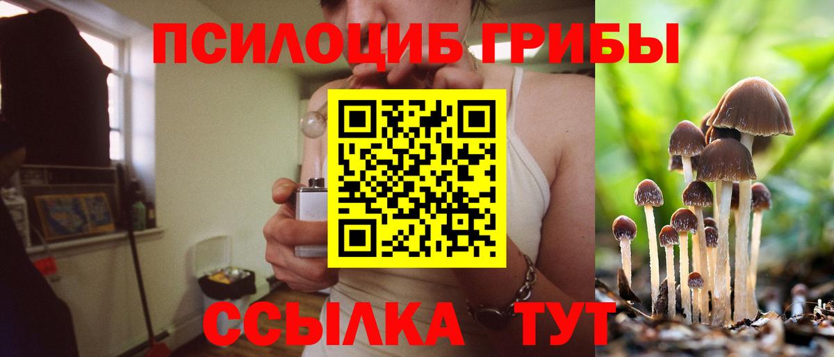 Псилоцибиновые грибы ЛСД  наркота  Пугачёв  Вход с VPN  Галлюциногенные грибы Psilocybe 